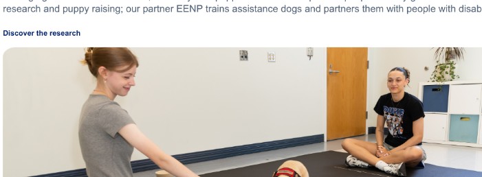 Researchers observing a puppy during a training and learning activity